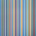 bridget riley