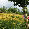 20150503_164435.jpg