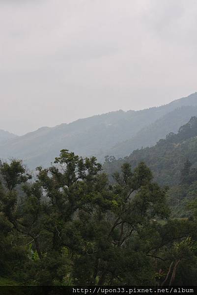 DSC_9494.JPG DSC_9494.JPG