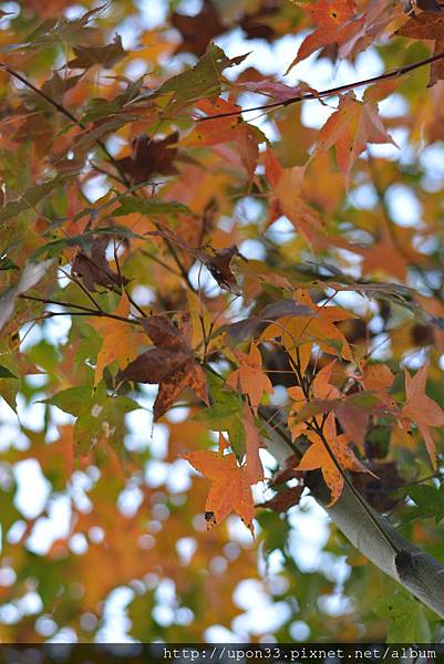 DSC_0073.JPG DSC_0073.JPG