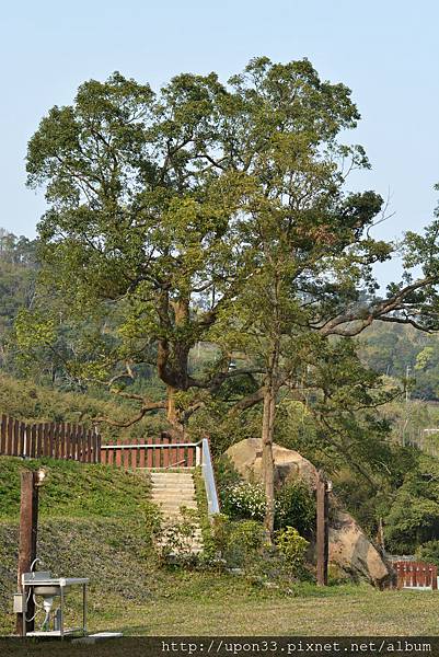 DSC_1253.JPG DSC_1253.JPG