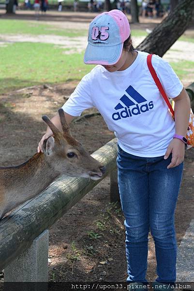 IMG_8648.JPG IMG_8648.JPG