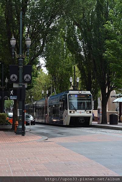 IMG_3486.JPG IMG_3486.JPG