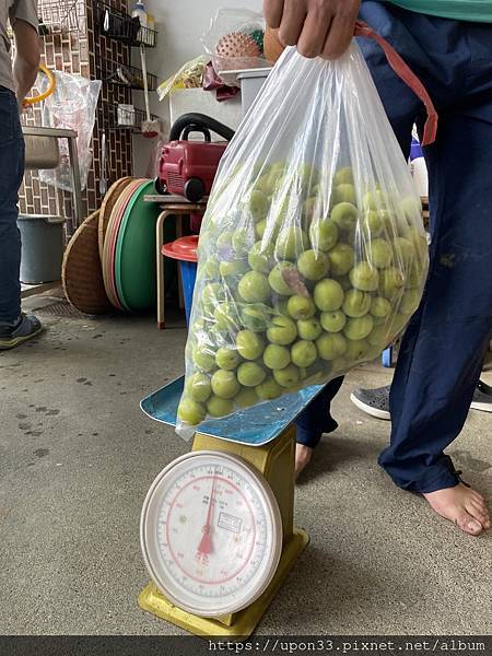 00431EF1-406A-45E1-8E89-DEF77FEF9C7F.jpeg 00431EF1-406A-45E1-8E89-DEF77FEF9C7F.jpeg