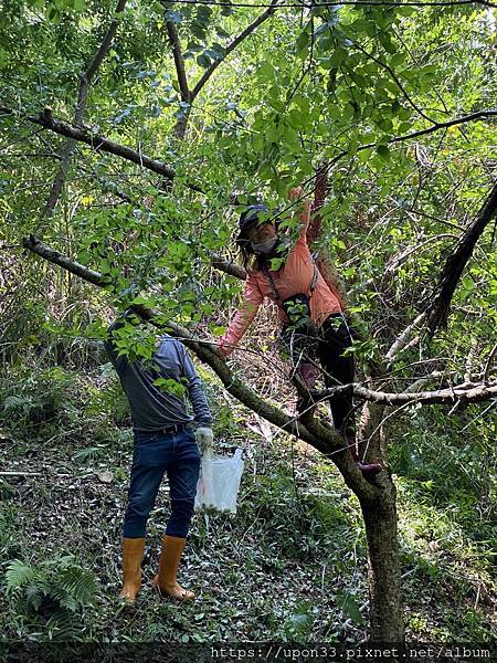 C0890383-393B-4A27-9757-4EF51198E0E1.jpeg C0890383-393B-4A27-9757-4EF51198E0E1.jpeg