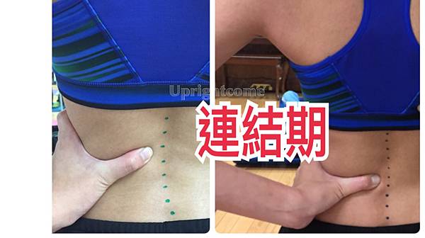 IMG_0470.JPG IMG_0470.JPG