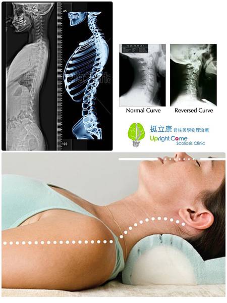 S__14376976.jpg S__14376976.jpg