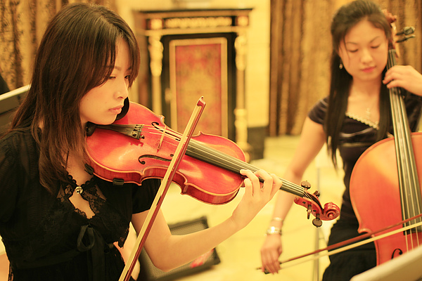 美女小提琴