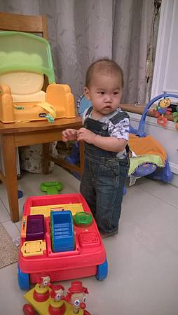 WP_20141101_19_37_05_Pro WP_20141101_19_37_05_Pro