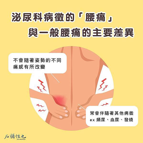 泌尿科病徵的腰痛2