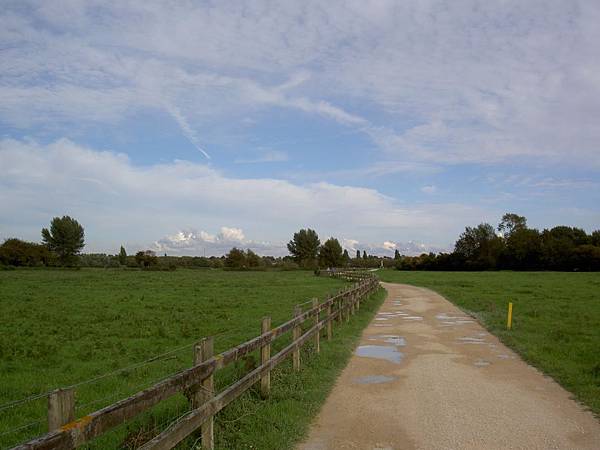 Meadow in Oxford