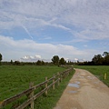 Meadow in Oxford