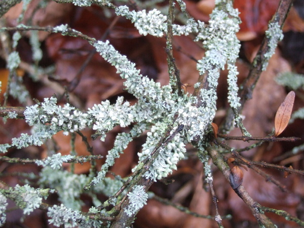 DSCF4027.jpg