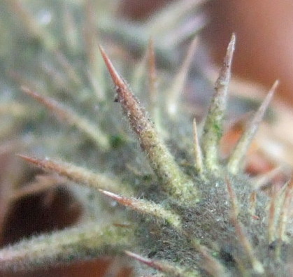 test2.jpg