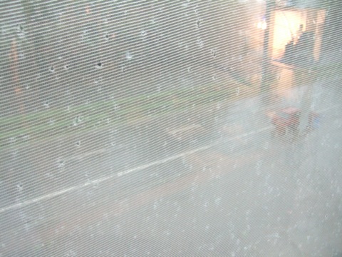 DSCF6897.JPG