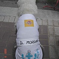 Dr.MORGAN02.jpg