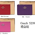 coach 52394-1