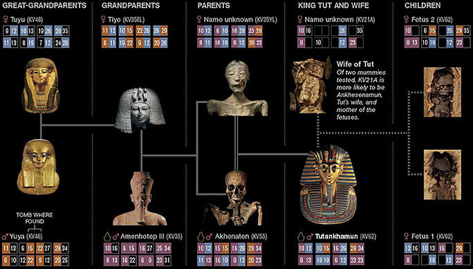 圖坦卡蒙的家人 圖坦卡蒙的家人