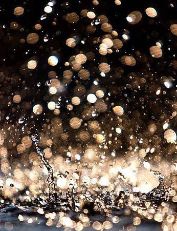 11012430_10204909575959210_1359474364631629447_n