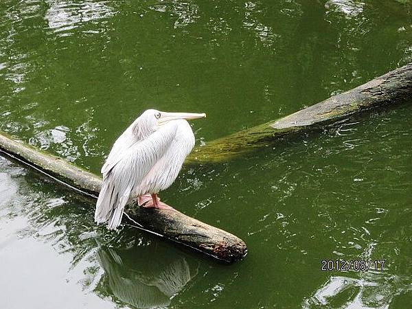 台北動物園