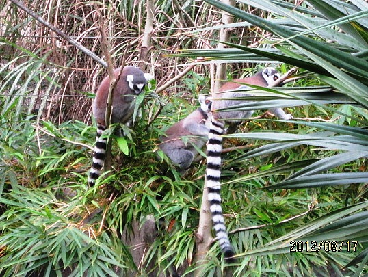 台北動物園