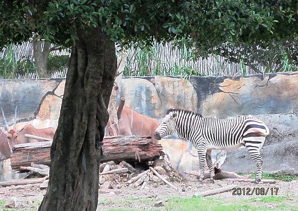 台北動物園