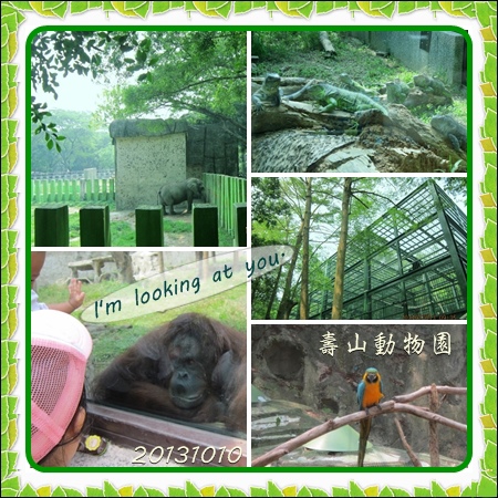 壽山動物園 (6).jpg