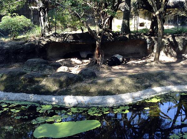 臺北動物園 (23).JPG