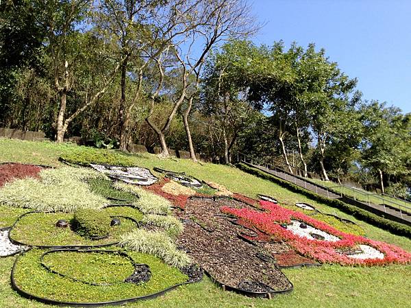 臺北動物園 (32).JPG