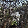 hikingBiji2.02311710146E11.jpg