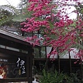 2011021205.jpg