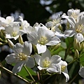 2011042401.jpg