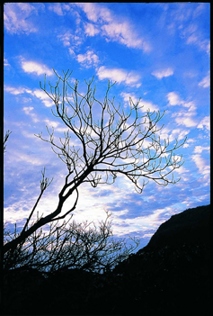 2011012308.jpg 2011012308.jpg