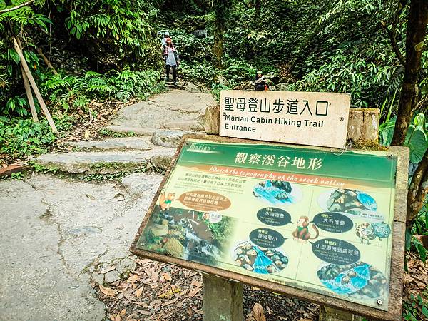 聖母登山步道11