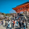 京都一日遊12