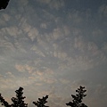 20110425- (14).JPG