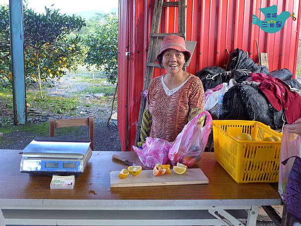 大進休閒農業區松茂果園