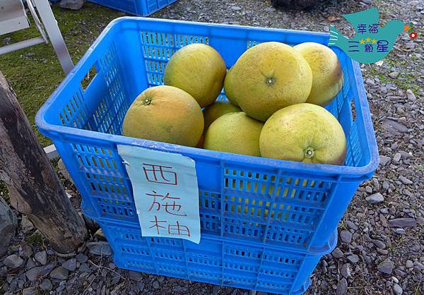 大進休閒農業區松茂果園