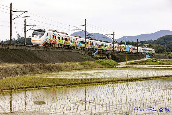 Hello-Kitty 彩繪列車