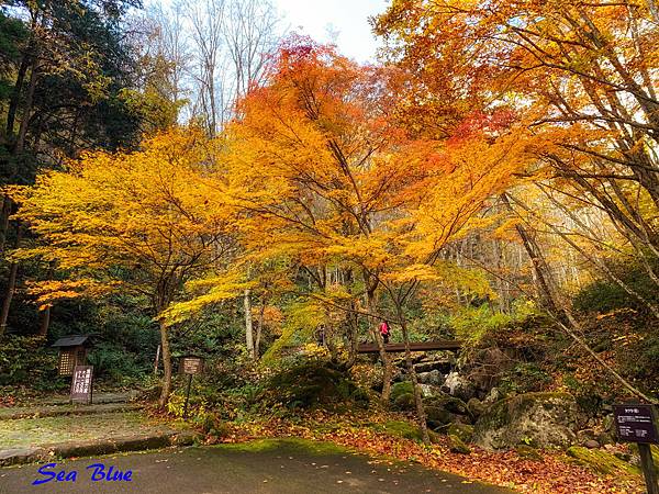 日本秘境 岐阜縣高山市 宇津江四十八滝