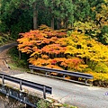 日本秘境 岐阜縣高山市 宇津江四十八滝