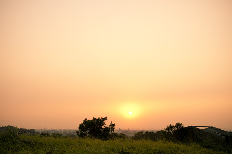 DSC_8331.jpg DSC_8331.jpg