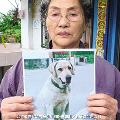 感動人狗情：七旬阿嬤日行七小時 紅著眼找走失愛犬 - 請大家一起幫忙 祝福阿嬤與愛犬團圓喔...