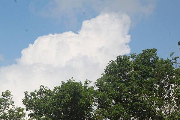 天空的白雲