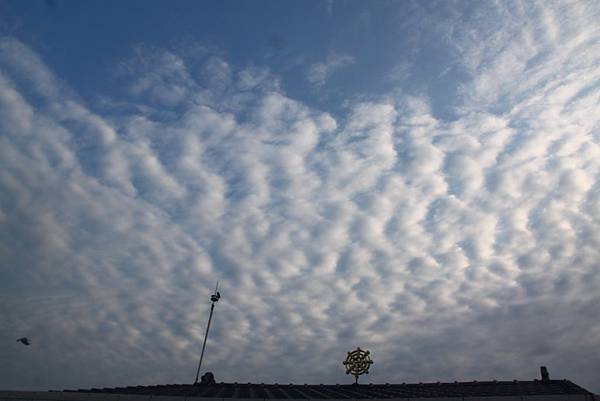 早晨法輪上空最先出現白雲