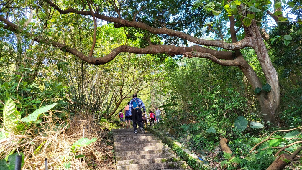 天母水管路+翠峰瀑布上紗帽山