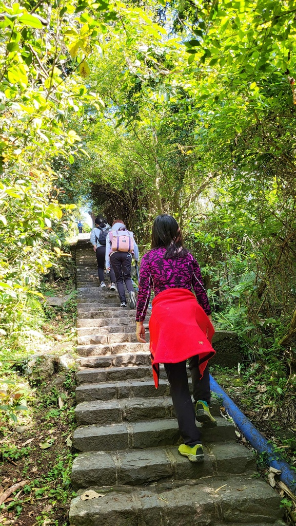 天母水管路+翠峰瀑布上紗帽山