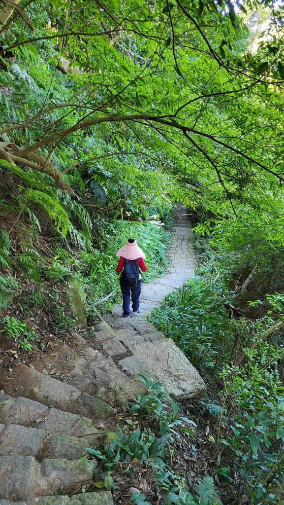 天母水管路+翠峰瀑布上紗帽山