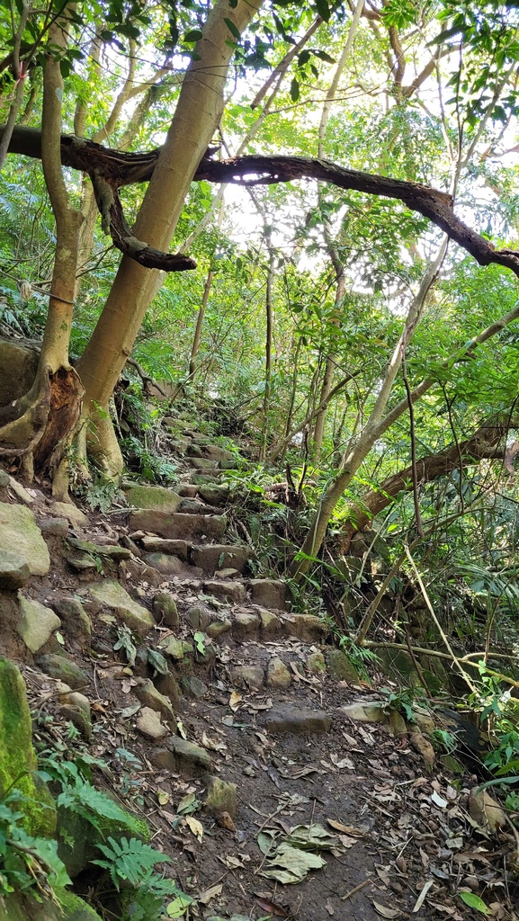 天母水管路+翠峰瀑布上紗帽山