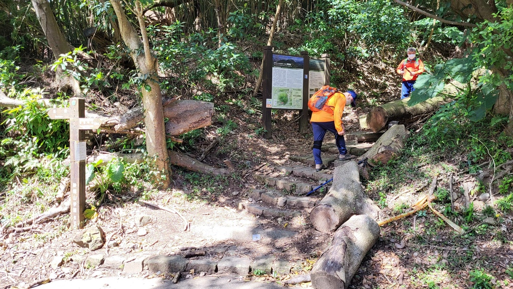 天母水管路+翠峰瀑布上紗帽山